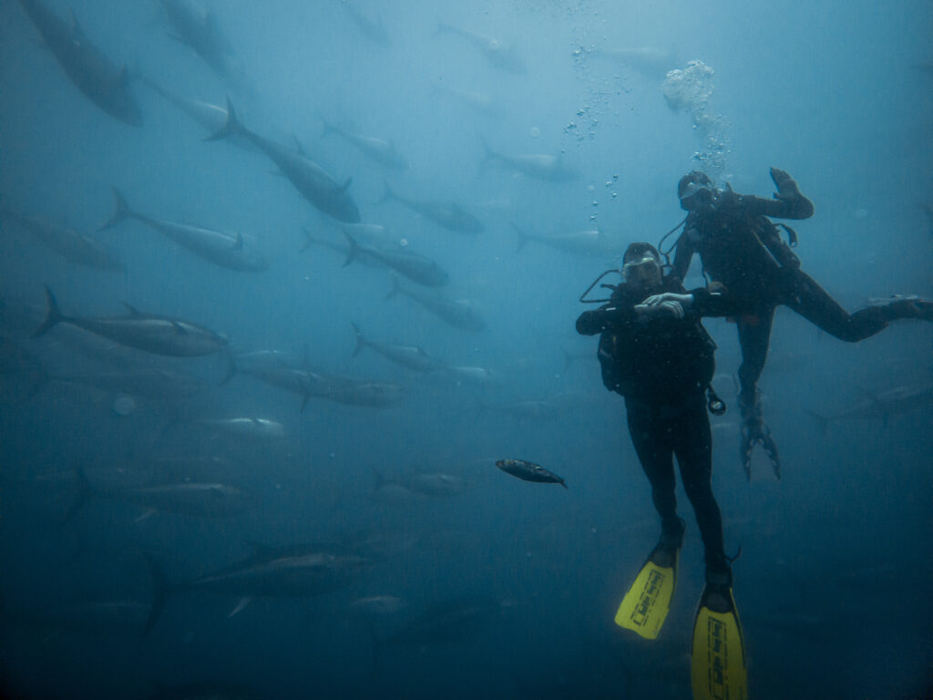 Submarinistes de Tuna Tour