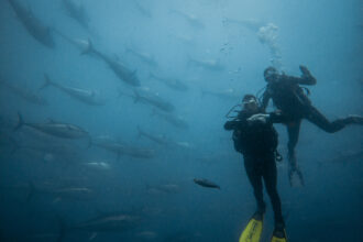 Submarinistes de Tuna Tour