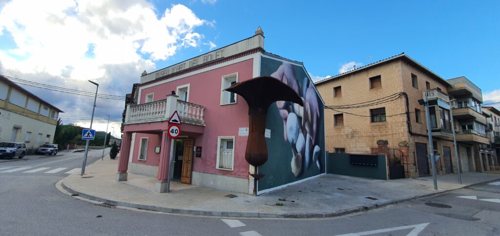 Museu de l'Art del Bolet de Montmajor