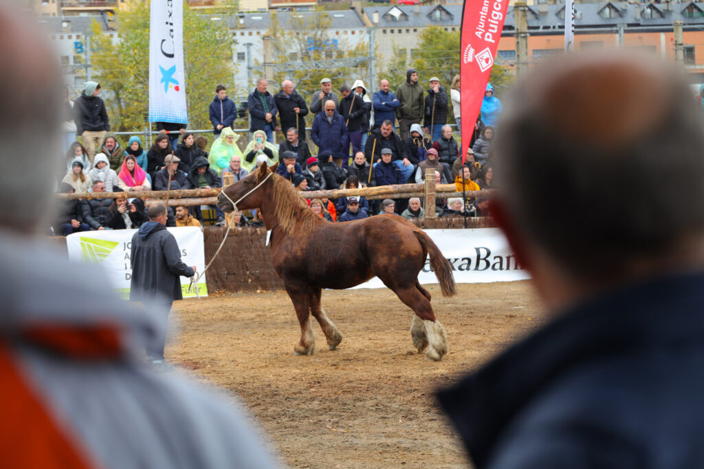 Fira del cavall de Puigcerdà