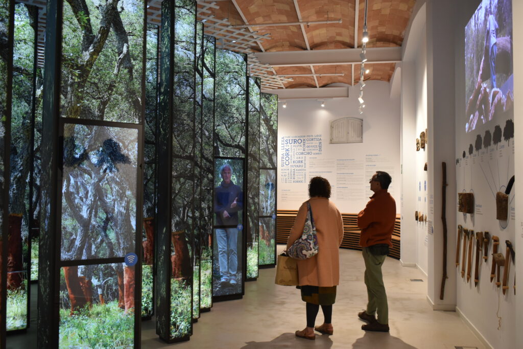 Nova exposició permanent del Museu del Suro de Catalunya, a Palafrugell