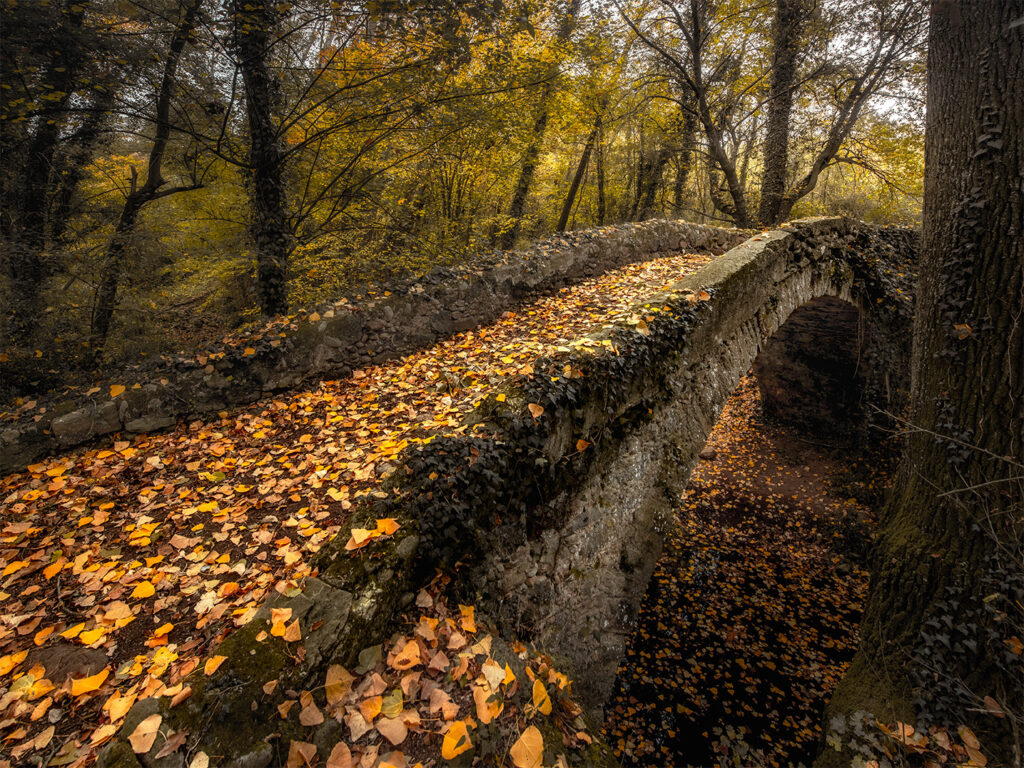 Pont de Cossei