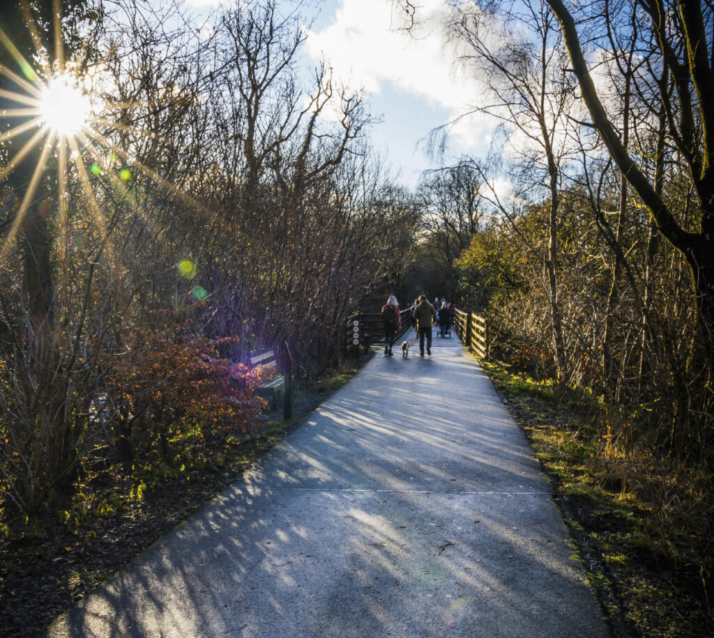 Vies verdes i camins, immillorables amb Arico Forest