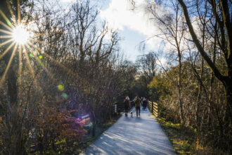 Vies verdes i camins, immillorables amb Arico Forest