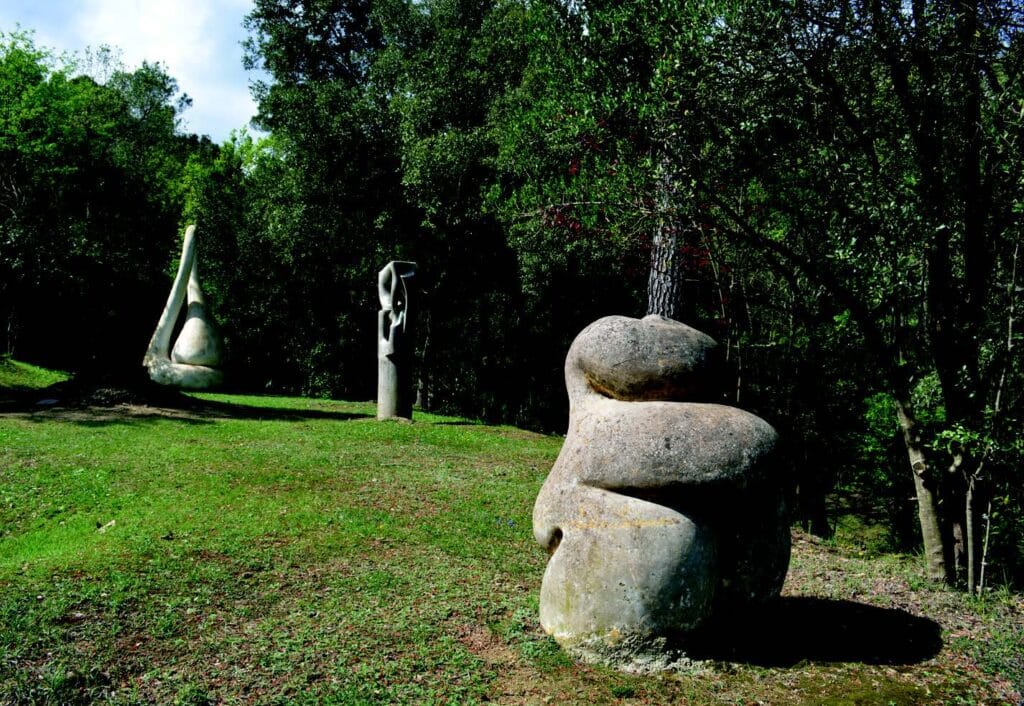 EL BOSC DE CAN GINEBREDA