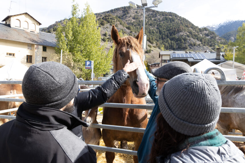 Fira del Bestiar d’Ordino