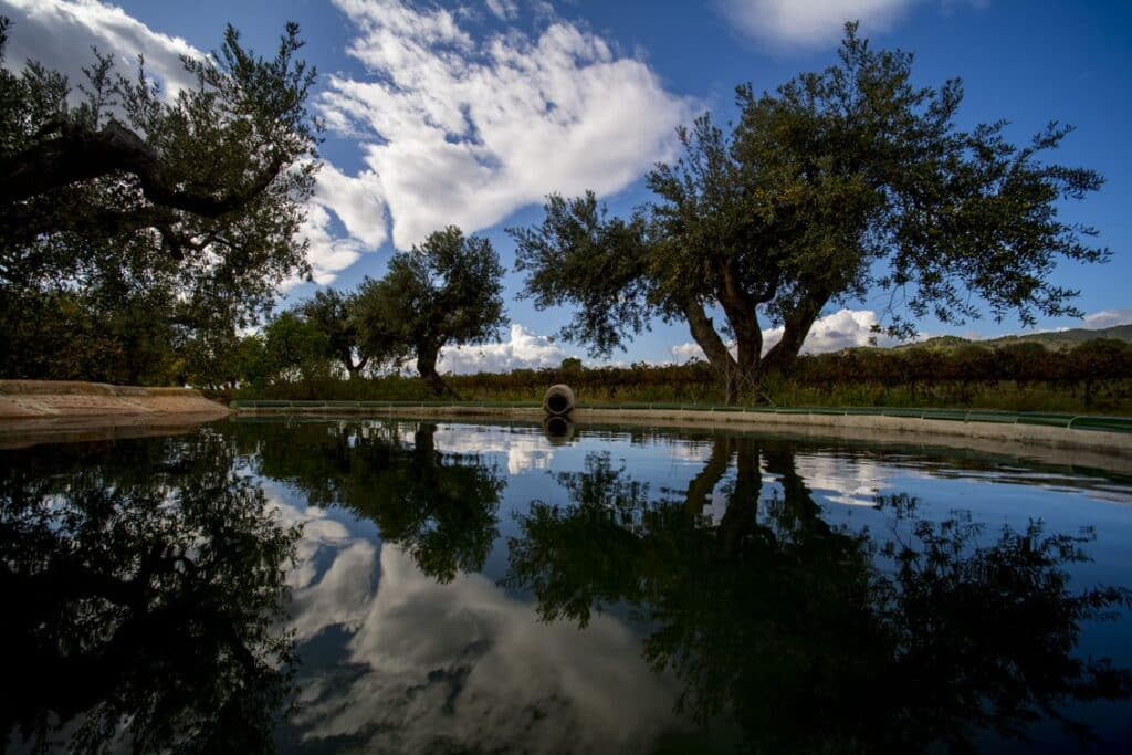Tardor a la dop siurana