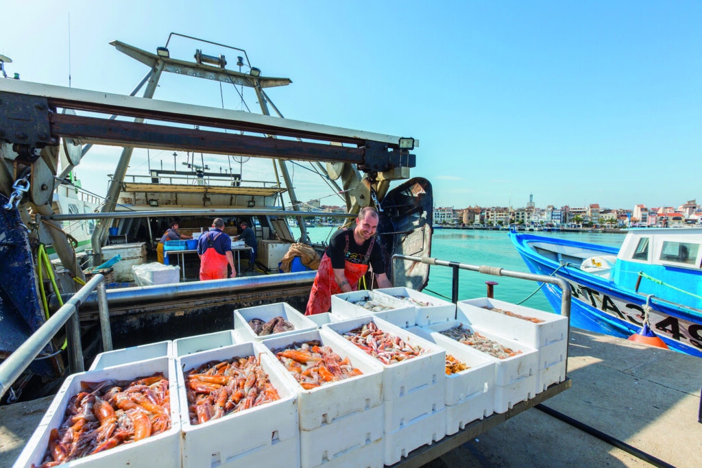 GASTROCAMBRILS