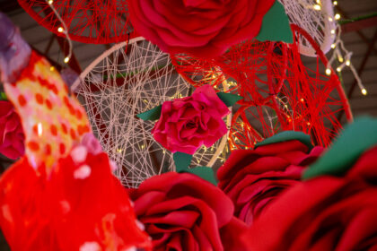 Fira de la Rosa: Aj Roses