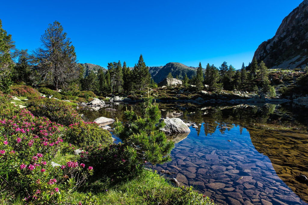 Vall del Madriu-Perafita-Claror Serra mitjana
